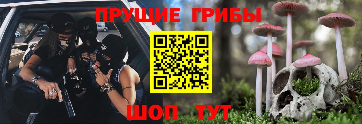 Галлюциногенные грибы Psilocybine cubensis Зерноград